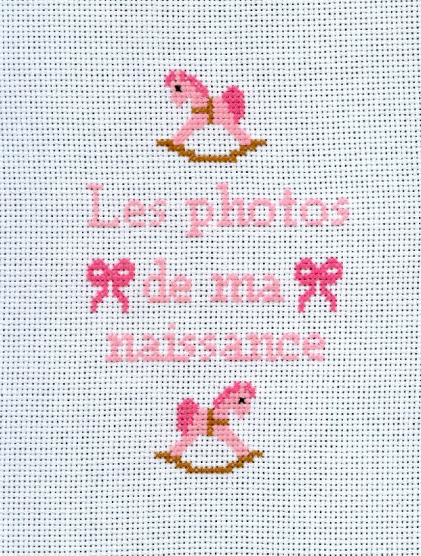 Album photo b&eacute;b&eacute; rose