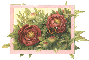 Cliquez sur moi pour voir le site