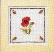 Un coquelicot pour annoncer l'&eacute;t&eacute;