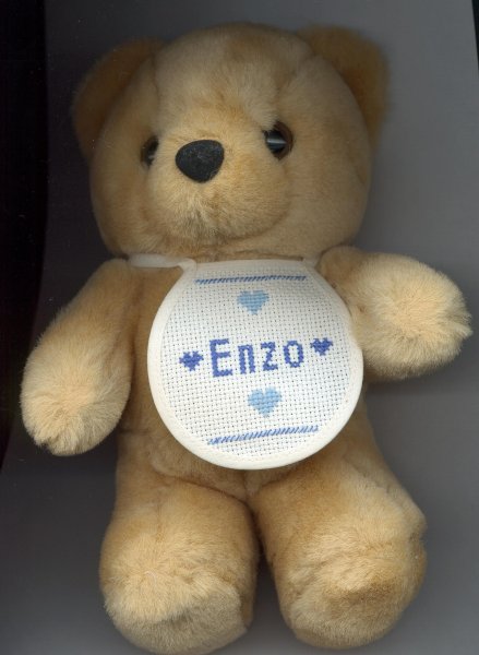 Ourson Enzo