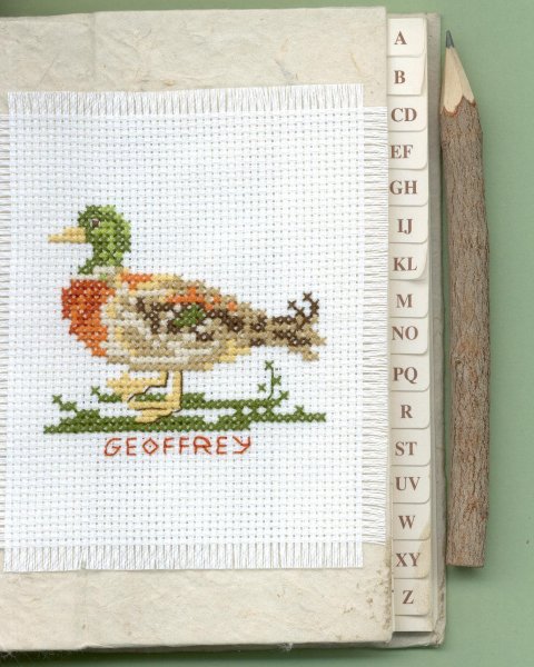 R&eacute;pertoire au canard