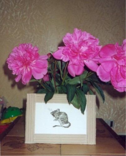 Photo de la souris avec des pivoines