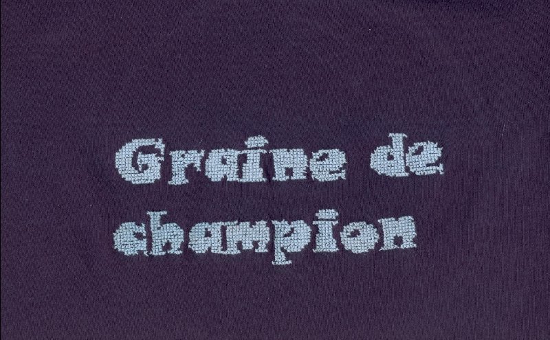 Tee-shirt graine de champion